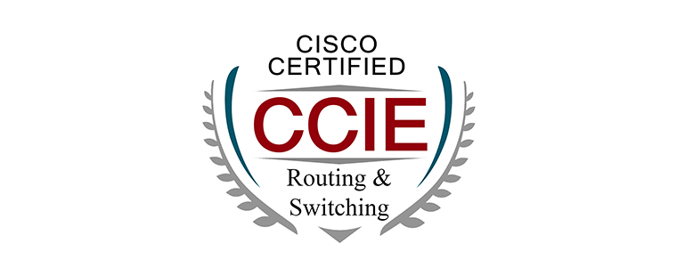 best ccie routing & switching training in delhi